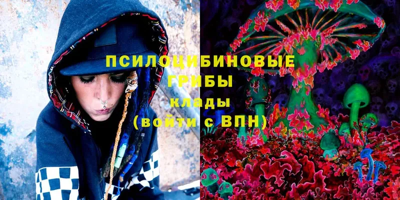 Псилоцибиновые грибы Magic Shrooms  Богородицк 